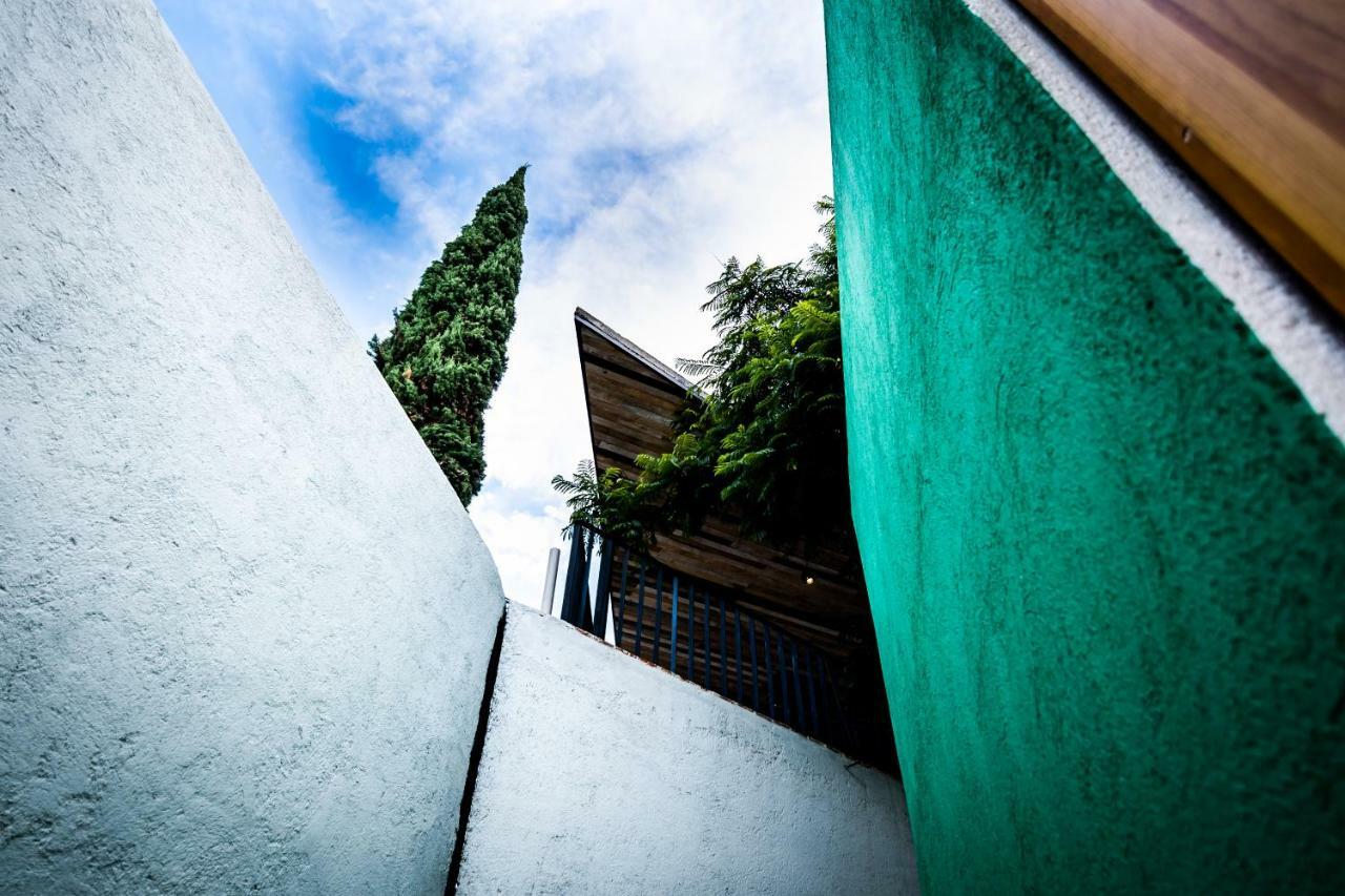 Hotel Con Corazon Oaxaca Bagian luar foto